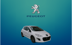308 (2008 - 2013)