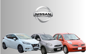 MICRA