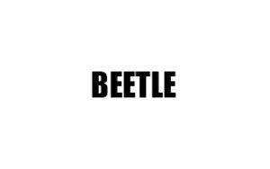 ΠΑΤΑΚΙΑ ΓΙΑ BEETLE