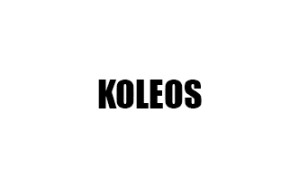 ΠΑΤΑΚΙΑ ΓΙΑ KOLEOS