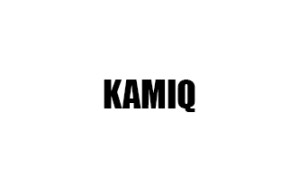 KAMIQ