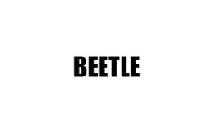 BEETLE