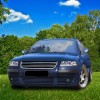 Μάσκα Vw Passat B5.5 (01-05) - χρωμίου, χωρίς σήμα
