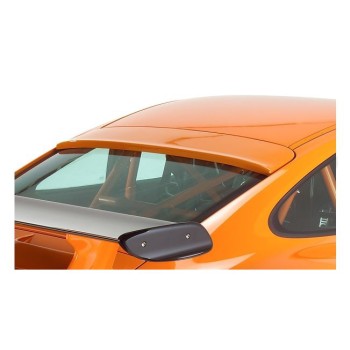 Αεροτομή οροφής BMW E36 Compact