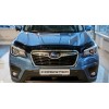 Ανεμοθραύστης καπό SUBARU FORESTER (2018+)
