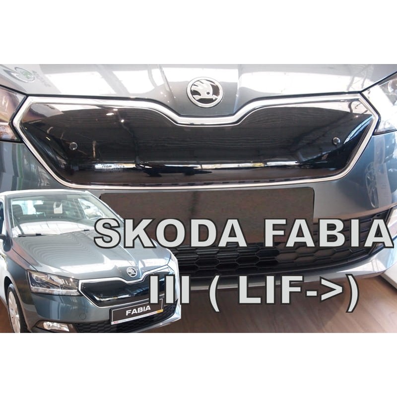 Χειμερινός ανεμοθραύστης SKODA Fabia (2018-2021), Heko