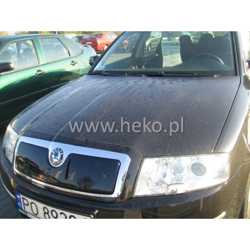 Χειμερινός ανεμοθραύστης SKODA Superb I (2002-2006) - upper, Heko