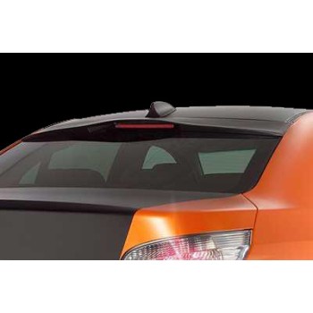 Αεροτομή οροφής BMW E60