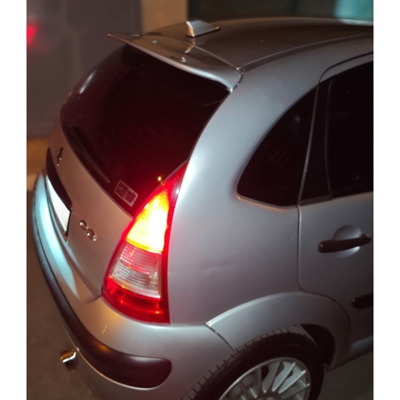 Αεροτομή οροφής Citroen C3 2002-2009