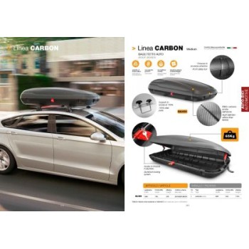 Μπαγκαζιέρα Art Plast 200x79x38cm με κλειδί 480 λίτρα carbon με διπλό άνοιγμα- 1τμχ.
