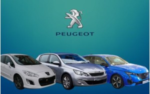 ΠΑΤΑΚΙΑ ΓΙΑ 308