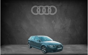 ΠΑΤΑΚΙΑ ΓΙΑ A3 8P (2003-2012)