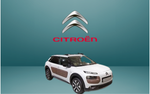 ΠΑΤΑΚΙΑ ΓΙΑ C4 CACTUS (2014+)