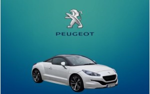 ΠΑΤΑΚΙΑ ΓΙΑ RCZ