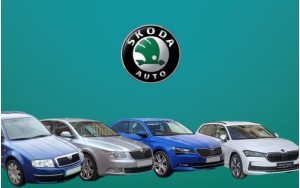 ΠΑΤΑΚΙΑ ΓΙΑ SUPERB
