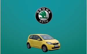 Αντιανεμικά καπό CITIGO