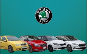 Αντιανεμικά καπό FABIA