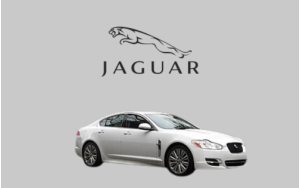 XF