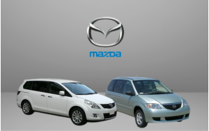 Αντιανεμικά καπό MPV