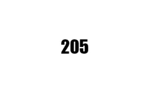 205