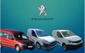 PARTNER