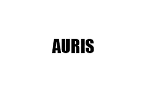 Αντιανεμικά καπό AURIS
