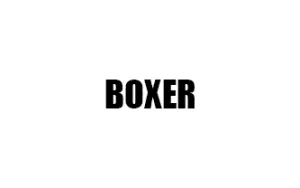 Αντιανεμικά καπό BOXER