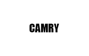Αντιανεμικά καπό CAMRY