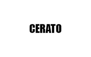 Αντιανεμικά καπό CERATO