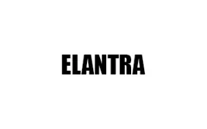 Αντιανεμικά καπό ELANTRA