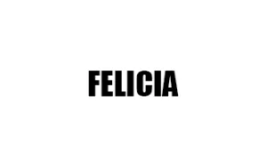 Αντιανεμικά καπό FELICIA