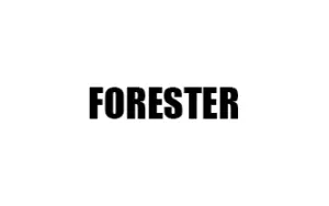 Αντιανεμικά καπό FORESTER