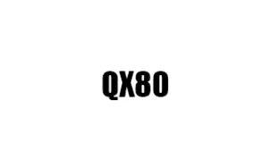 Αντιανεμικά καπό QX80
