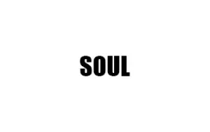 Αντιανεμικά καπό SOUL
