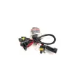 Λάμπα xenon H11 / H8 / H9 6000K 35W - χωρίς εγγύηση - 1τμχ. Λάμπα xenon H11 / H8 / H9 6000K 35W - χωρίς εγγύηση - 1τμχ.
