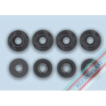 Πιαστράκια Rezaw-Plast για CITROEN, PEUGEOT - 4τμχ. για 2 πατάκια