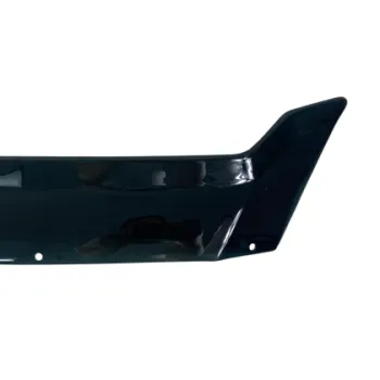 Ανεμοθραύστης καπό εμπρός για Iveco Daily (2006+)