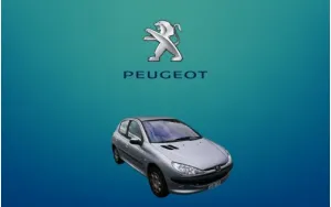 ΠΑΤΑΚΙΑ ΓΙΑ 206