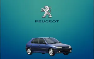 ΠΑΤΑΚΙΑ ΓΙΑ 306
