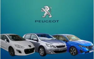 ΠΑΤΑΚΙΑ ΓΙΑ 308