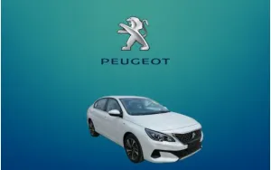 ΠΑΤΑΚΙΑ ΓΙΑ 408
