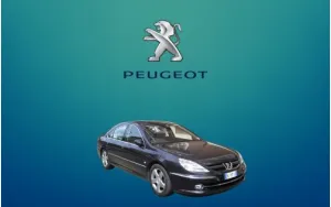 ΠΑΤΑΚΙΑ ΓΙΑ 607