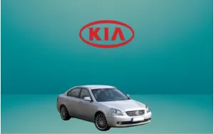 ΠΑΤΑΚΙΑ ΓΙΑ NIRO