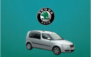 ΠΑΤΑΚΙΑ ΓΙΑ ROOMSTER