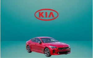 ΠΑΤΑΚΙΑ ΓΙΑ STINGER