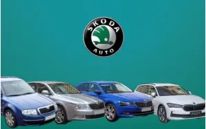 ΠΑΤΑΚΙΑ ΓΙΑ SUPERB