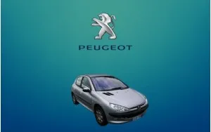 Αντιανεμικά καπό 206
