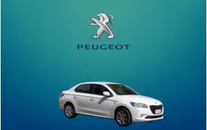 Αντιανεμικά καπό 301