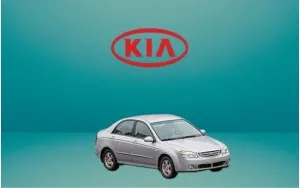 Αντιανεμικά καπό CERATO