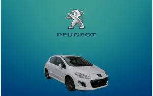 308 (2008 - 2013)
